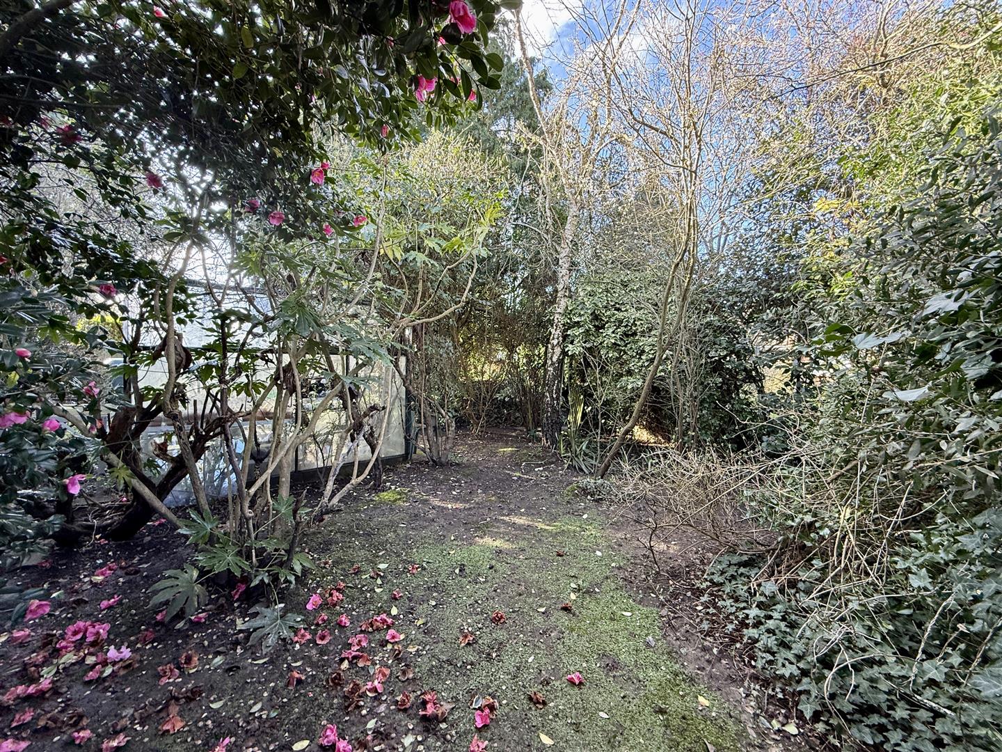 Rear Garden: